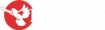 Image module